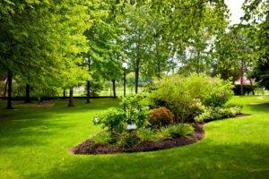 5 Signs It’s Time to Hire Professional Landscape Maintenance