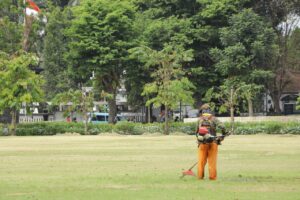 Why Landscape Maintenance Is Important and Why It Saves You Money