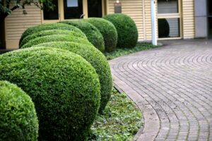 How Professional Apartment Landscaping Boosts Tenant Attraction and Retention