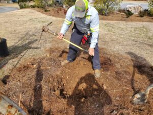 The Importance of Landscape Maintenance