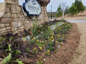 Understanding HOA Landscaping Rules and Costs